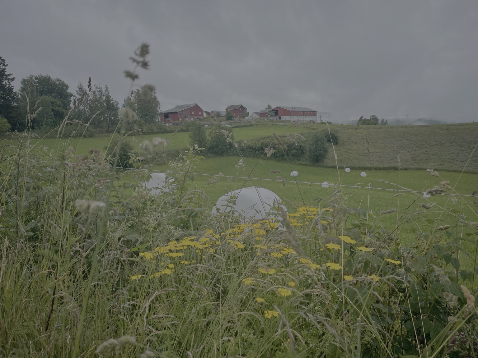Landskapet rundt Øvre Velo